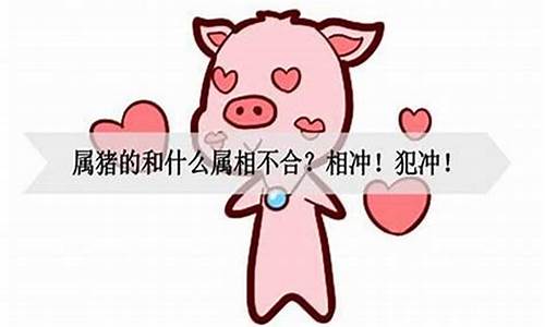 十二生肖属猪犯相吗女-十二生肖属猪犯相吗