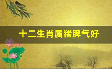 十二生肖属猪脾气好-十二生肖属猪脾气好不好