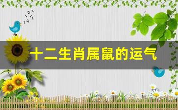 十二生肖属鼠的运气怎么样-十二生肖属鼠的运气