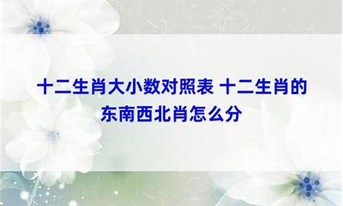 十二生肖怎么区分大小属相_十二生肖怎么区分大小号