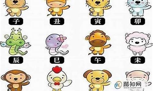 逆来顺受是什么生肖码或数字?_十二生肖谁逆来顺受