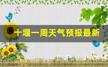 十堰一周天气预报最新消息新闻_十堰一周天气预预报