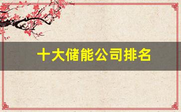 十大储能公司排名(储能行业公司排名)_https://www.huakunhengjia.com_期货资讯_第1张