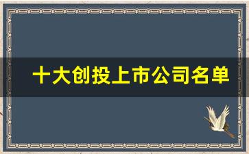 十大创投上市公司名单(十大创投上市公司名单公布)_https://www.haiwangdasha.com_大商所_第1张