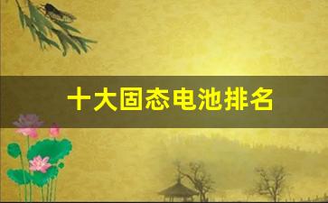 十大固态电池排名(国内首条固态电池生产线)_https://www.jumanxin.com_科创板_第1张