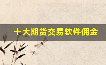 十大期货交易软件佣金多少(期货软件收费标准)_https://www.huakunhengjia.com_金融资讯_第1张
