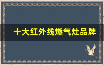 十大红外线燃气灶品牌-十大红外线燃气灶品牌排行