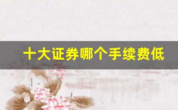 十大证券哪个手续费低的(哪家证券手续费最低)_https://www.huakunhengjia.com_财经资讯_第1张