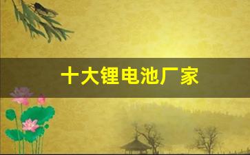 十大锂电池厂家