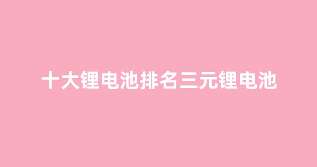 十大锂电池排名三元锂电池(十大锂电池排名前十名)_https://www.luoxuangg888.com_北交所_第1张