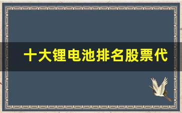 十大锂电池排名股票代码是什么(十大锂电池排名股票代码是什么呢)_https://www.eamstsz.com_创业板_第1张