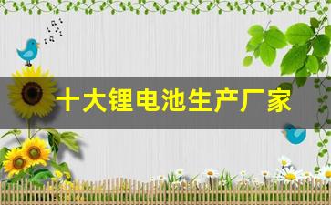 十大锂电池生产厂家(知名锂电池厂家)_https://www.jumanxin.com_创业板_第1张