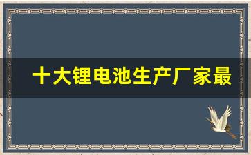 十大锂电池生产厂家最新排名榜(十大锂电池生产厂家)_https://www.jumanxin.com_北交所_第1张