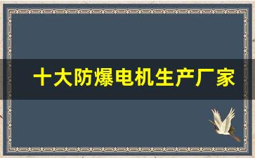 十大防爆电机生产厂家(防爆电机厂家排名)_https://www.ljyuan-tech.com_北交所_第1张