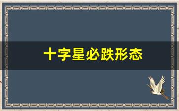 十字星必跌形态(十字星洗盘特征)_https://www.gen-fastener.com_上期所_第1张