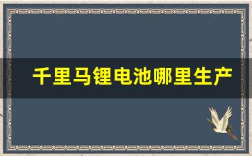 千里马锂电池哪里生产的(千里马锂电池哪里生产的)_https://www.wanyuyiyao.com_深交所_第1张