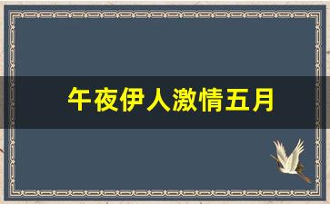日韩精品欧美：午夜伊人激情五月 (12)