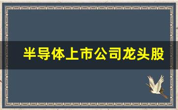 半导体上市公司龙头股(半导体上市公司龙头股有哪些)_https://www.eamstsz.com_深交所_第1张