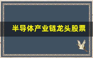 半导体产业链龙头股票(半导体相关产业链龙头)_https://www.gzyhshgzzx.com_大商所_第1张