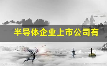 半导体企业上市公司有哪些(半导体上市的公司)_https://www.jumanxin.com_创业板_第1张