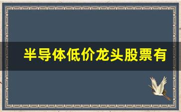 半导体低价龙头股票有哪些(半导体高科技低价龙头股推荐)_https://www.nalian8.com_科创板_第1张