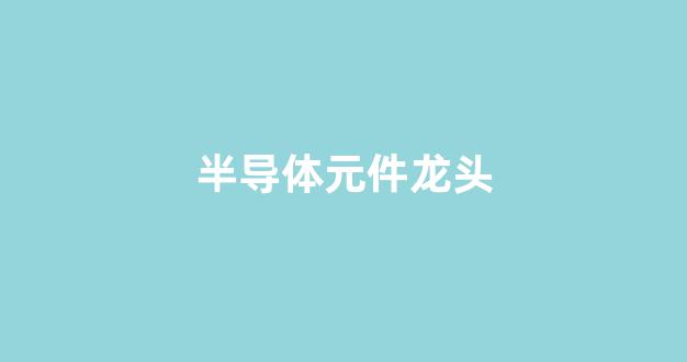 半导体元件龙头(半导体材料龙头)_https://www.dongshengweixin.com_深交所_第1张