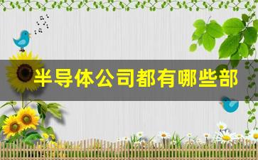 半导体公司都有哪些部门