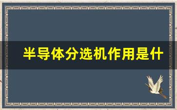 半导体分选机作用是什么(半导体测试分选机市场份额)_https://www.kairu168.com_大商所_第1张