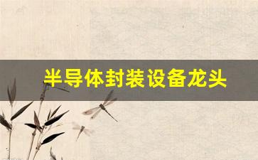 半导体封装设备龙头(半导体封装龙头公司)_https://www.hangfeite.com_创业板_第1张