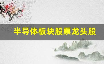 半导体板块股票龙头股代码(半导体龙头股票代码是多少)_https://www.dongshengweixin.com_创业板_第1张