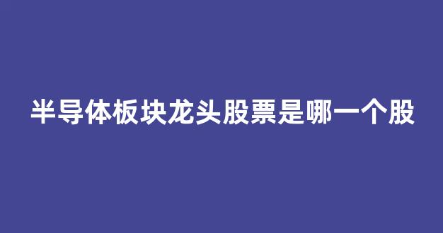 半导体板块龙头股票是哪一个股(半导体存储芯片龙头股票有哪些)_https://www.jnskb.com_效果图_第1张