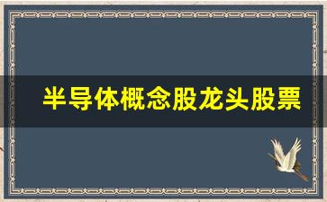 半导体概念股龙头股票一览表(半导体概念股龙头股票一览表最新)_https://www.nalian8.com_创业板_第1张