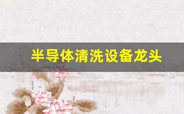 半导体清洗设备龙头(半导体清洗设备龙头都哪些)_https://www.gdbxwh.com_开网店_第1张