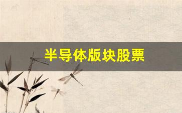 半导体版块股票(半导体芯片股票龙头前十名排名)_https://www.gen-fastener.com_中金所_第1张