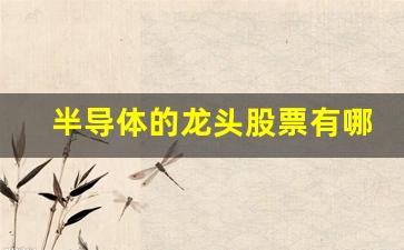 半导体的龙头股票有哪几家(半导体的龙头企业股票)_https://www.haiwangdasha.com_上期能源_第1张