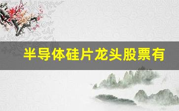 半导体硅片龙头股票有哪些(半导体芯片股票龙头前十名排名)_https://www.hhem8.com_北交所_第1张