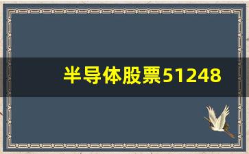 半导体股票512480(半导体股票512480最近咋样可以入么)_https://www.eamstsz.com_深交所_第1张