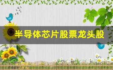 半导体芯片股票龙头股(半导体芯片股票龙头股票有哪些)_https://www.hangfeite.com_科创板_第1张