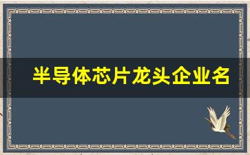 半导体芯片龙头企业名单(半导体芯片龙头上市公司)_https://www.hangfeite.com_北交所_第1张