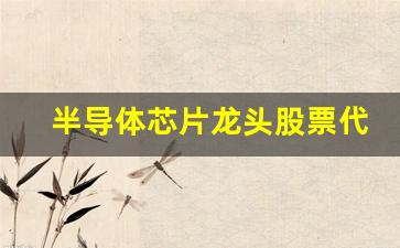 半导体芯片龙头股票代码是什么(半导体芯片龙头股票代码是什么呢)_https://www.hangfeite.com_深交所_第1张