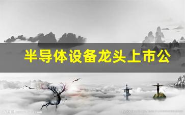 半导体设备龙头上市公司(半导体检测设备龙头上市公司)_https://www.shshucaipeisong.com_上交所_第1张