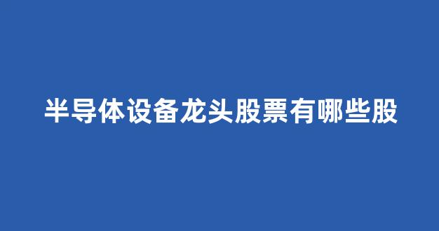 半导体设备龙头股票有哪些股(半导体设备龙头股票有哪些股份)_https://www.eamstsz.com_科创板_第1张