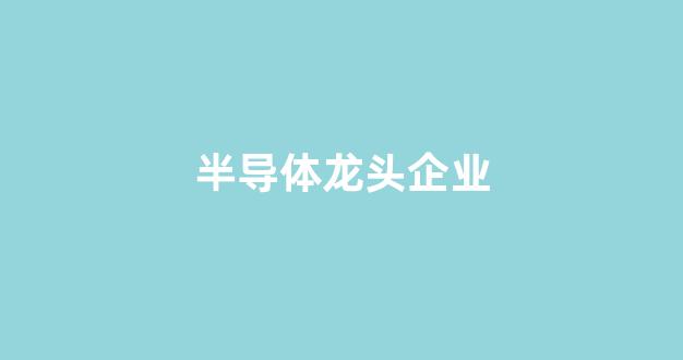 半导体龙头企业(半导体龙头企业股票有哪些)_https://www.ccit-cctv.com_上交所_第1张