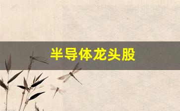 半导体龙头股(半导体龙头股第一名)_https://www.qldgs.com_内盘期货_第1张