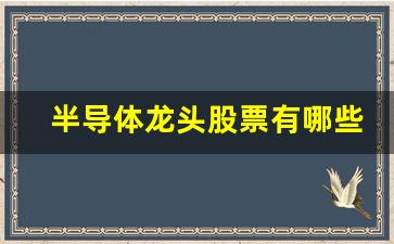 半导体龙头股票有哪些(汽车半导体龙头股票有哪些)_https://www.lclxwz.com_大商所_第1张