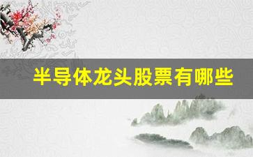 半导体龙头股票有哪些2021(半导体龙头股票有哪些2019)_https://www.wanyuyiyao.com_科创板_第1张
