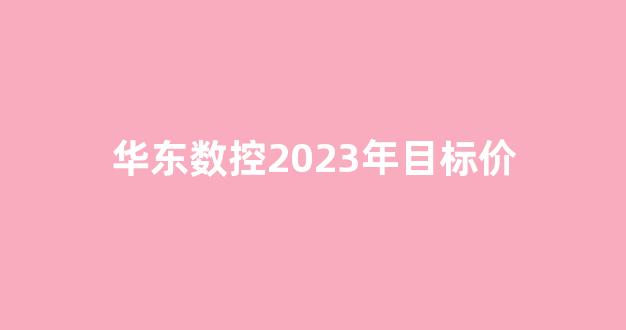 华东数控2023年目标价(华东数控业绩2021)_https://www.hn-life.com_深交所_第1张