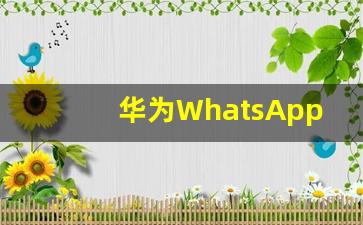 华为WhatsApp无法登录