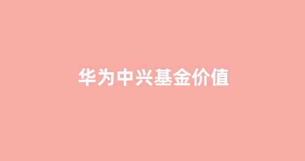 最新持有中兴的基金_华为中兴基金价值