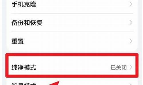 华为手机怎么关闭纯净模式_华为手机怎么关闭纯净模式增强防护
